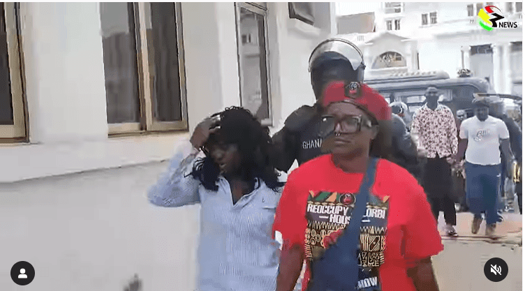 Democracy Hub: Police frustrating our bail process &#8211; Felicity alleges